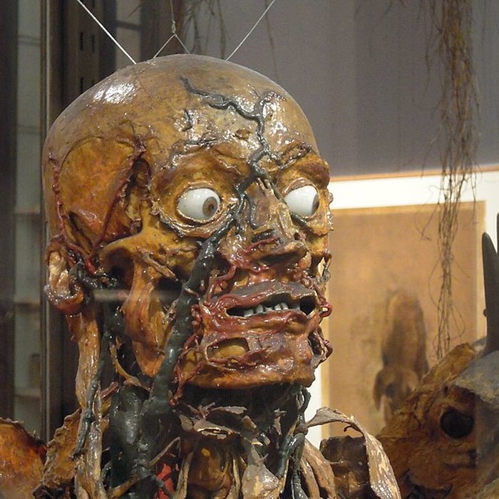 Photo de Musée Fragonard de lÉcole vétérinaire de Maisons-Alfort