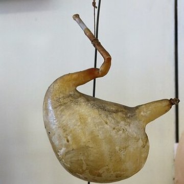 Musée Fragonard de lÉcole vétérinaire de Maisons-Alfort