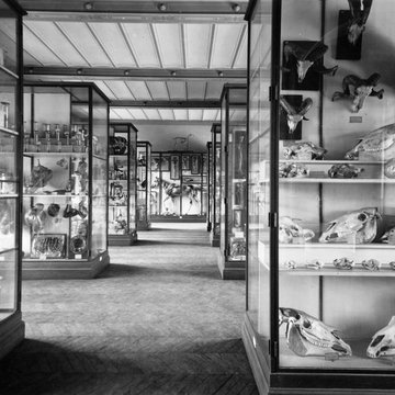 Musée Fragonard de lÉcole vétérinaire de Maisons-Alfort