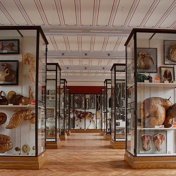 Musée Fragonard de lÉcole vétérinaire de Maisons-Alfort