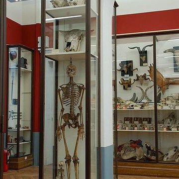 Musée Fragonard de lÉcole vétérinaire de Maisons-Alfort