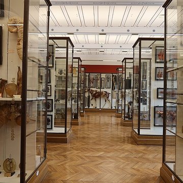 Musée Fragonard de lÉcole vétérinaire de Maisons-Alfort
