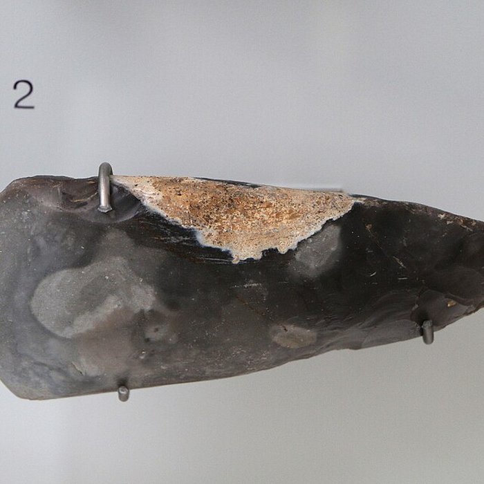 Photo de ARCHÉA, Archéologie en Pays de France