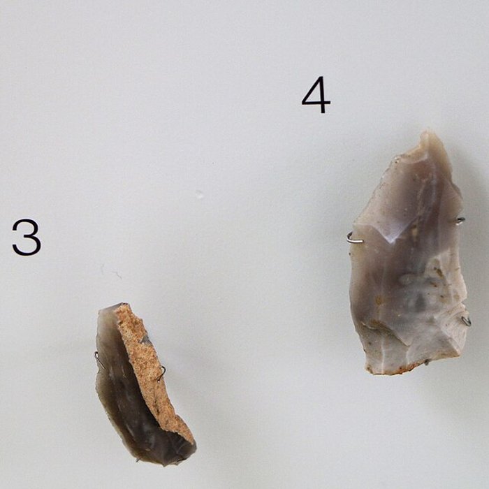 Photo de ARCHÉA, Archéologie en Pays de France