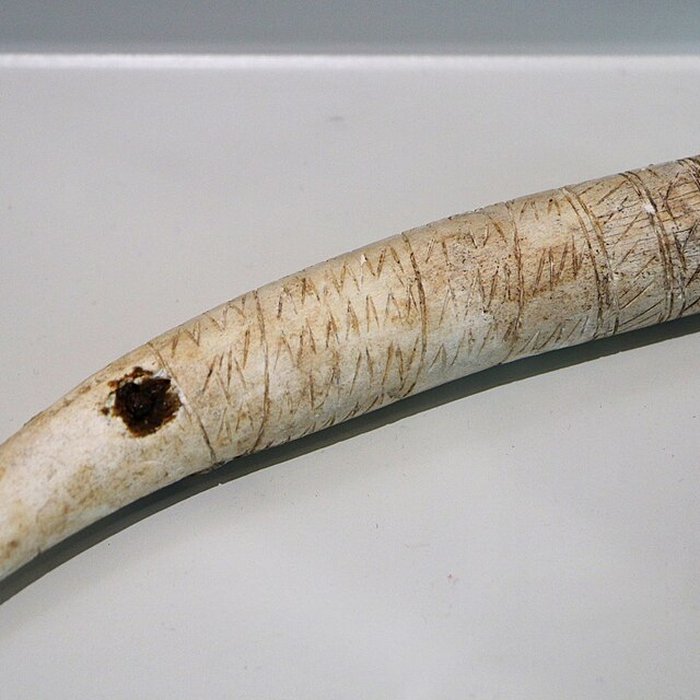 Photo de ARCHÉA, Archéologie en Pays de France