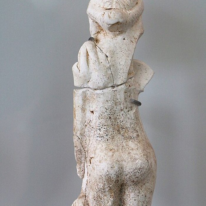 Photo de ARCHÉA, Archéologie en Pays de France