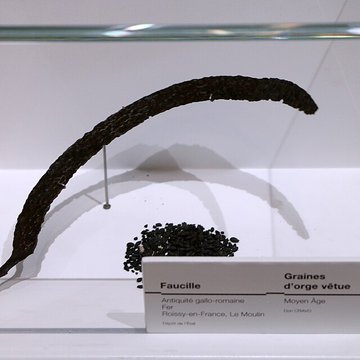 ARCHÉA, Archéologie en Pays de France