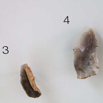 ARCHÉA, Archéologie en Pays de France