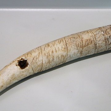 ARCHÉA, Archéologie en Pays de France