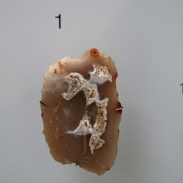 ARCHÉA, Archéologie en Pays de France