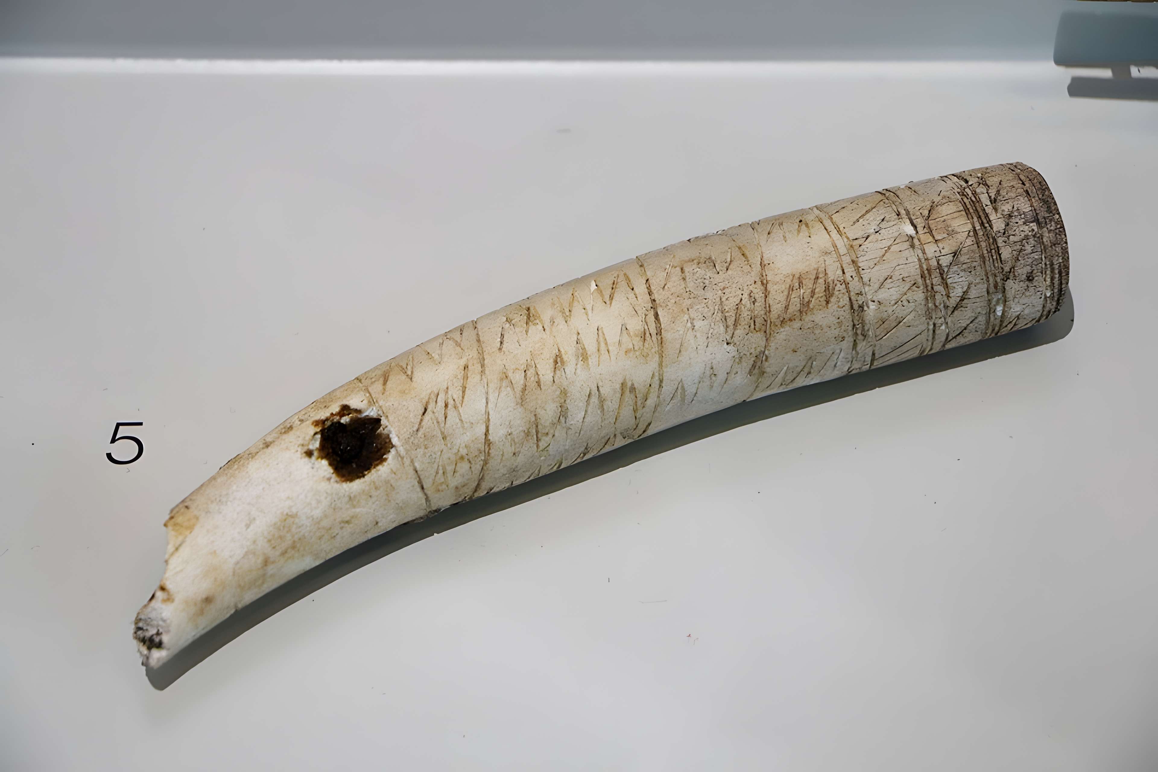 ARCHÉA, Archéologie en Pays de France