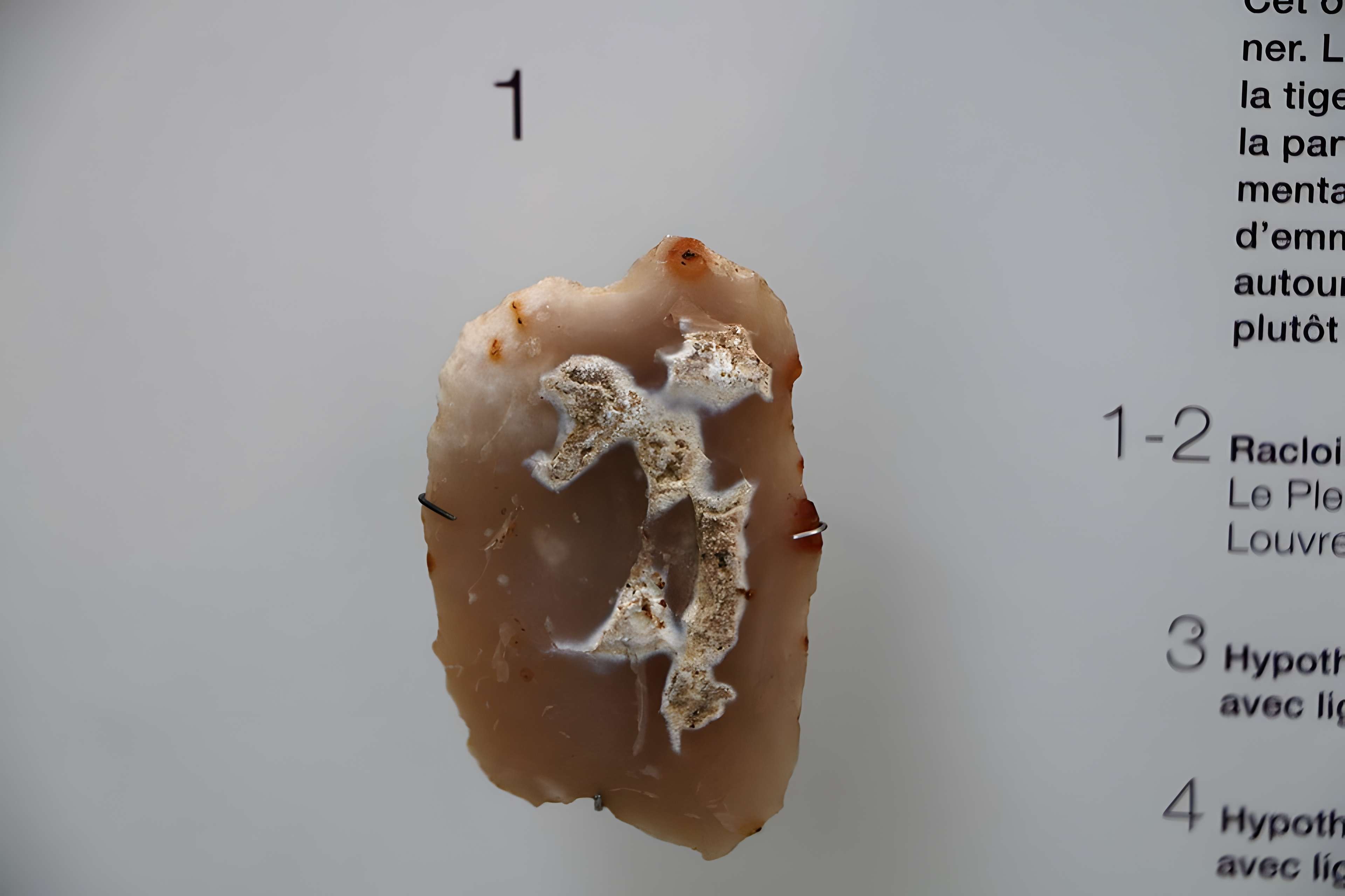 ARCHÉA, Archéologie en Pays de France