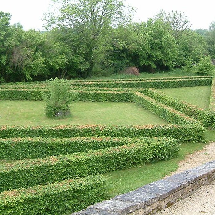 Photo de Château de Rosières
