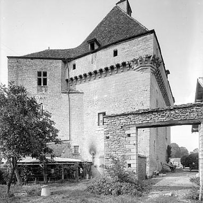Photo de Château de Rosières