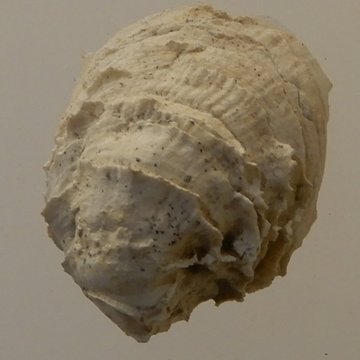 Musée archéologique départemental du Val-dOise