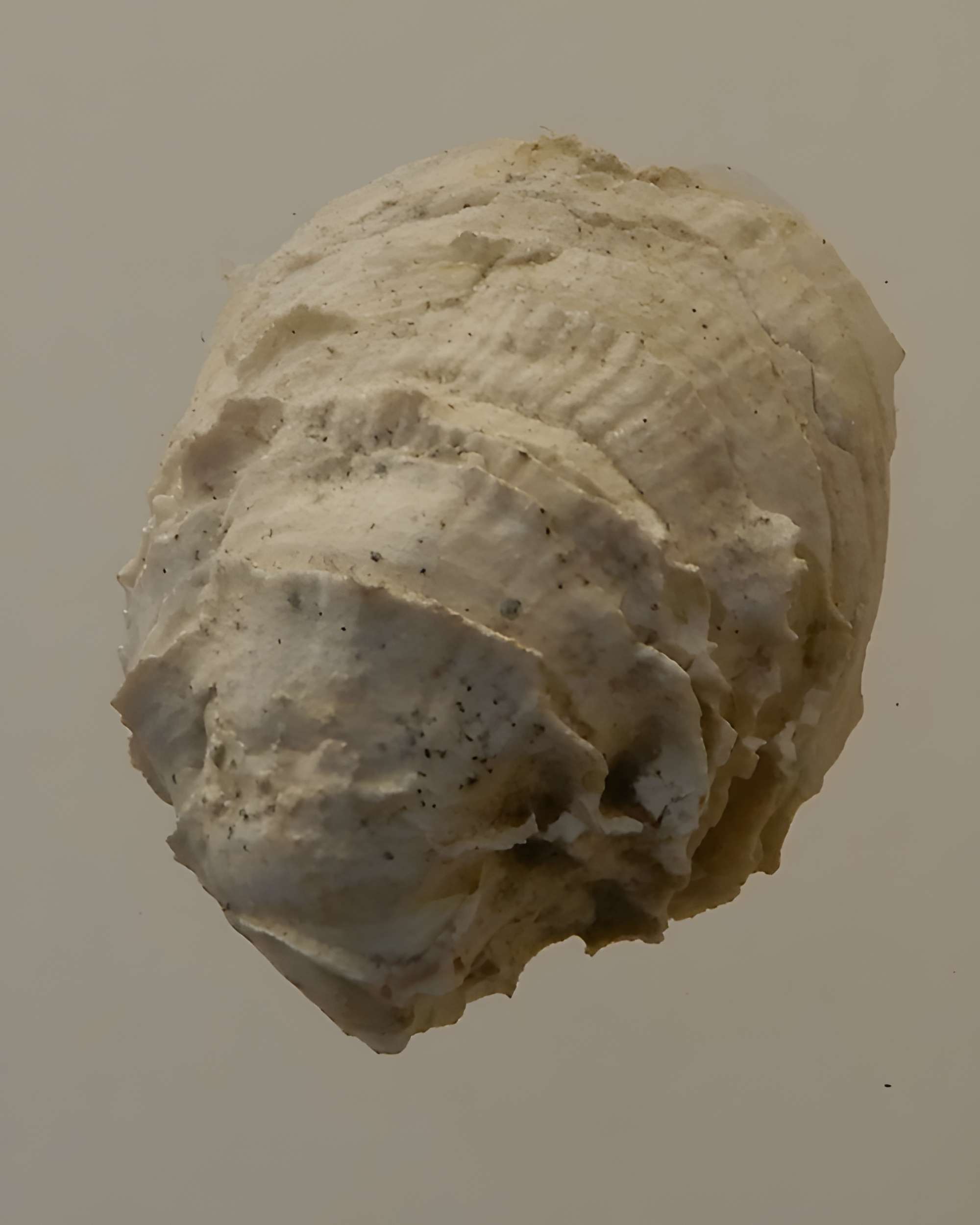 Musée archéologique départemental du Val-d'Oise