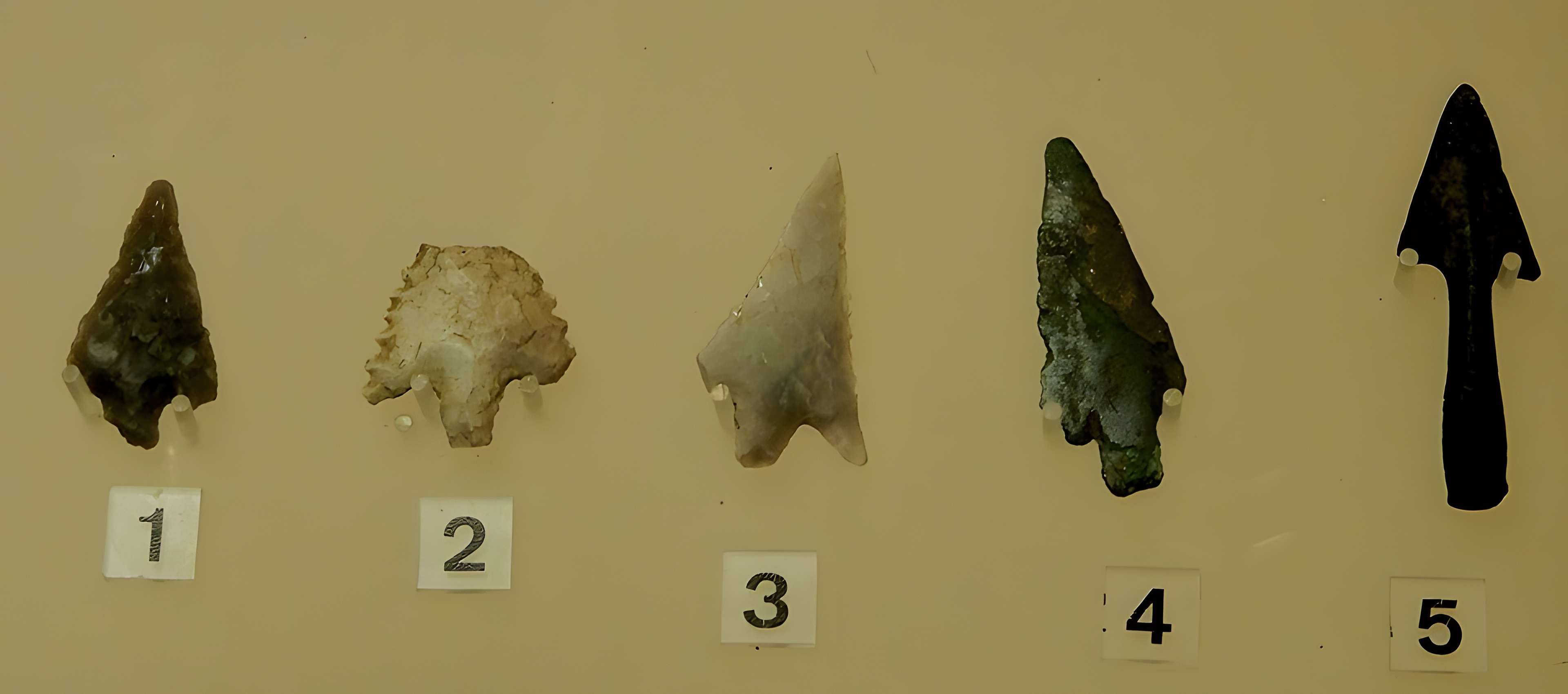 Musée archéologique départemental du Val-d'Oise