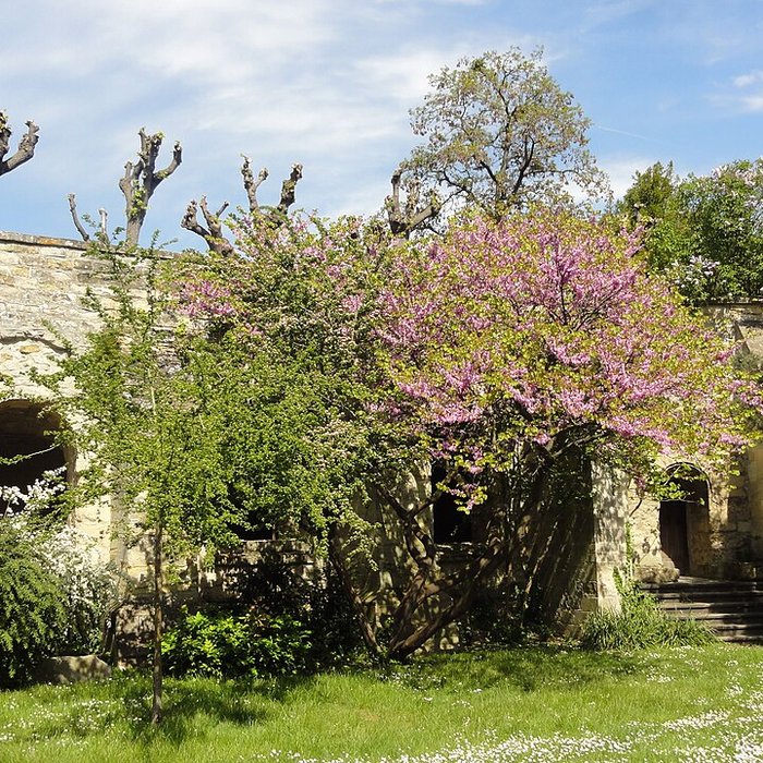 Photo de Musée Tavet-Delacour à Pontoise