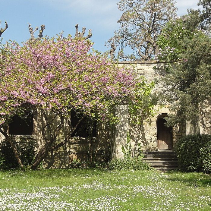 Photo de Musée Tavet-Delacour à Pontoise