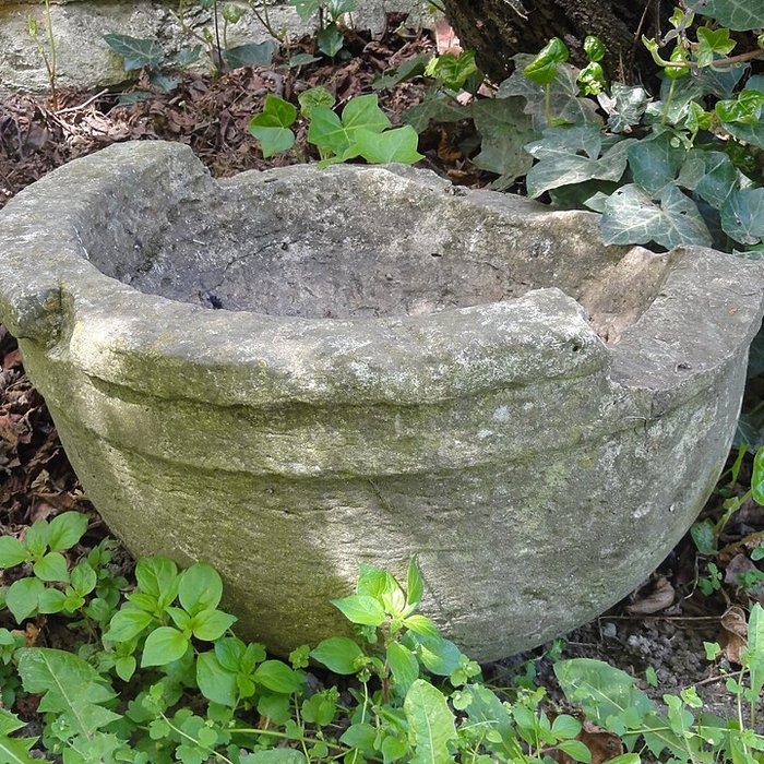 Photo de Musée Tavet-Delacour à Pontoise