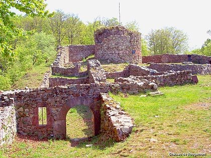 Photo de Château de Rougemont à Rougemont-le-Château