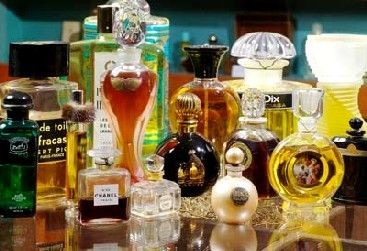 Osmothèque la mémoire des parfums à Versailles intérieur du musée