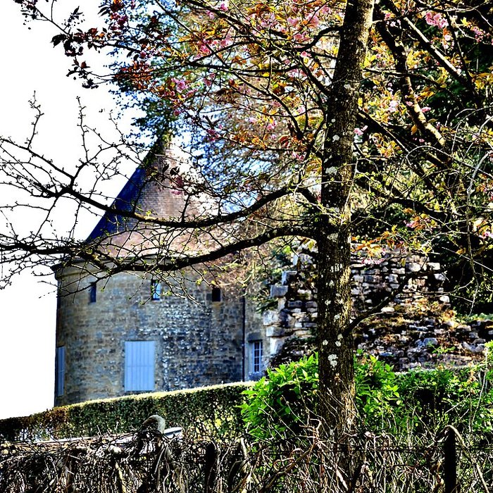 Photo de Château de Roulans