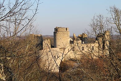Photo de Château de Roussillon à Saint-Pierre-Lafeuille