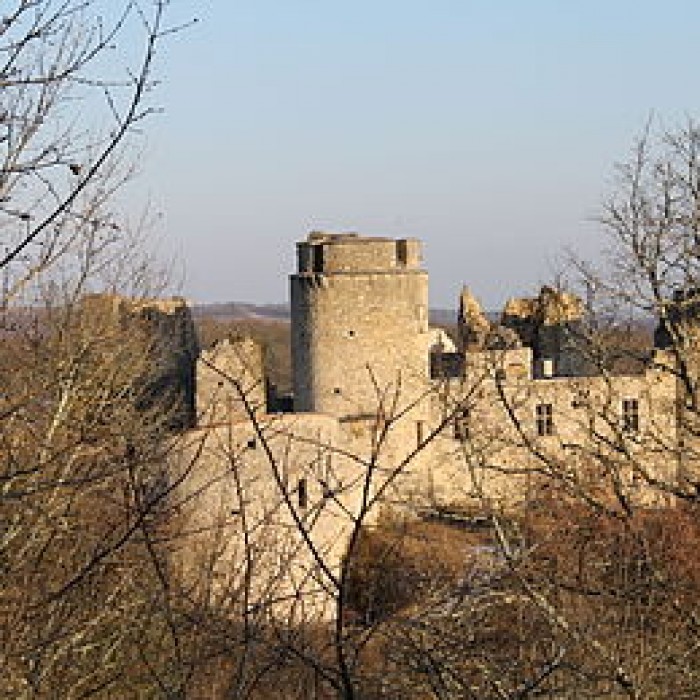 Photo de Château de Roussillon à Saint-Pierre-Lafeuille