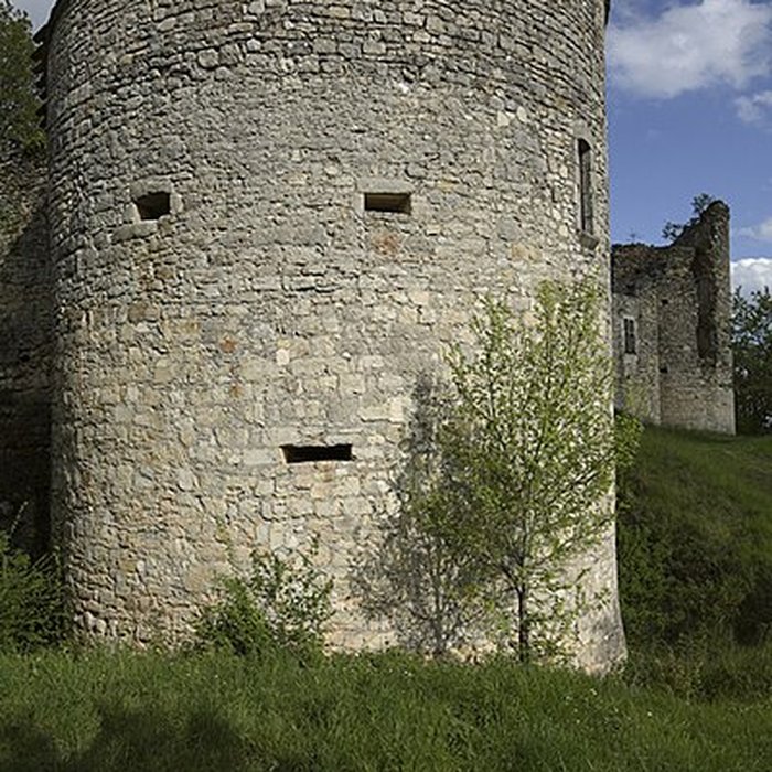 Photo de Château de Roussillon à Saint-Pierre-Lafeuille