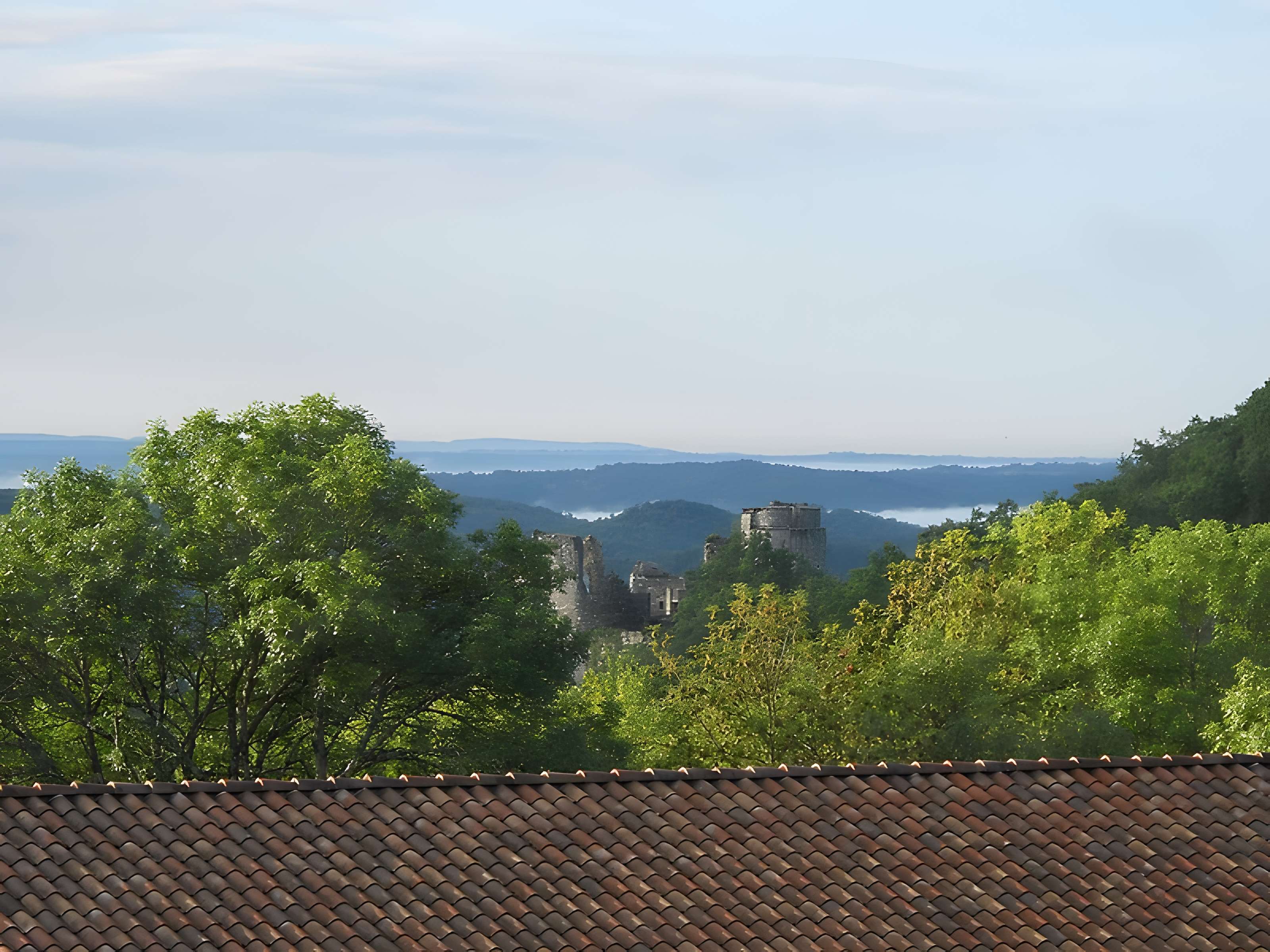 Château de Roussillon à Saint-Pierre-Lafeuille
