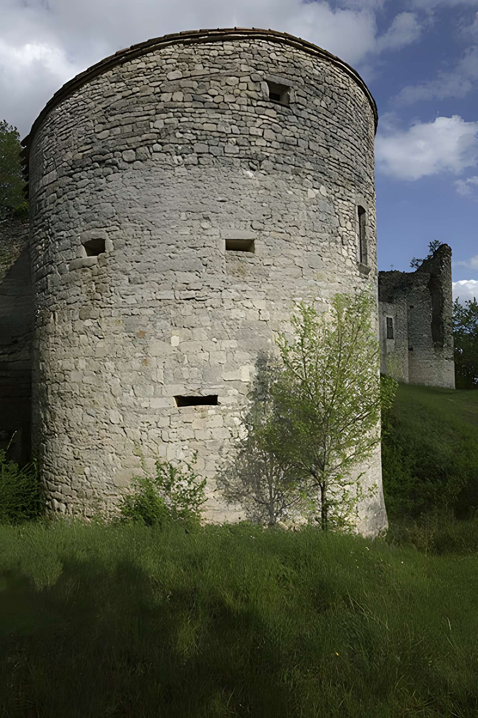 Château de Roussillon à Saint-Pierre-Lafeuille