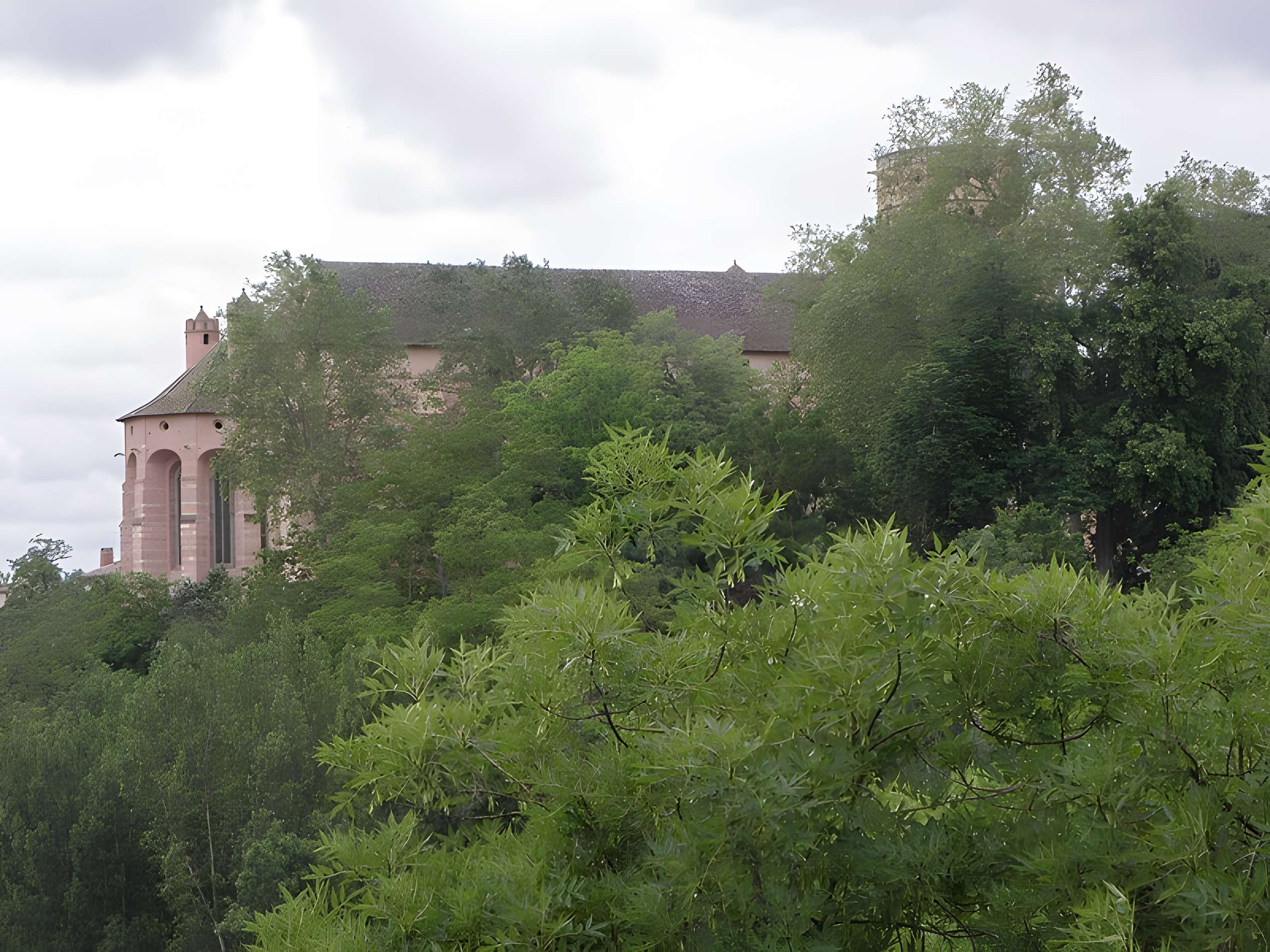 Cathédrale Saint-Alain de Lavaur 