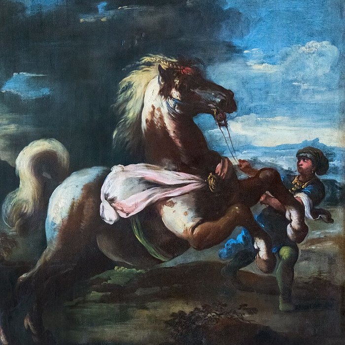 Photo de Musée dart et dhistoire de Narbonne au Palais des archevêques