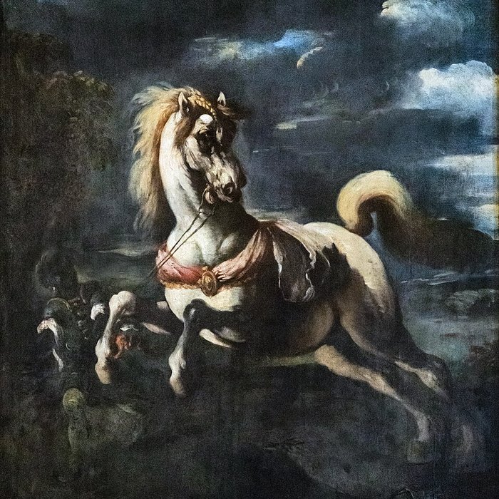 Photo de Musée dart et dhistoire de Narbonne au Palais des archevêques