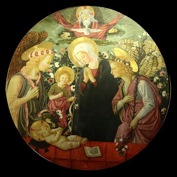 Musée dart et dhistoire de Narbonne au Palais des archevêques