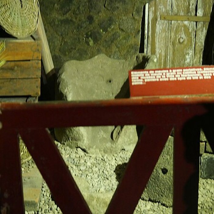 Photo de Musée de Horreum Romain à Narbonne