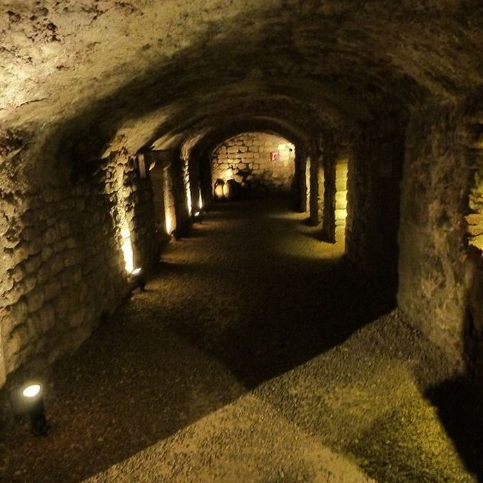 Photo de Musée de Horreum Romain à Narbonne