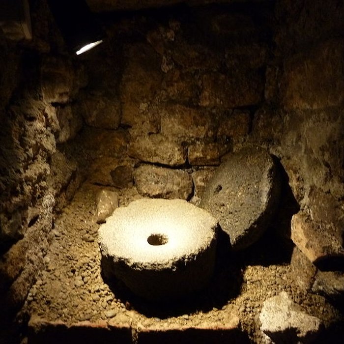 Photo de Musée de Horreum Romain à Narbonne