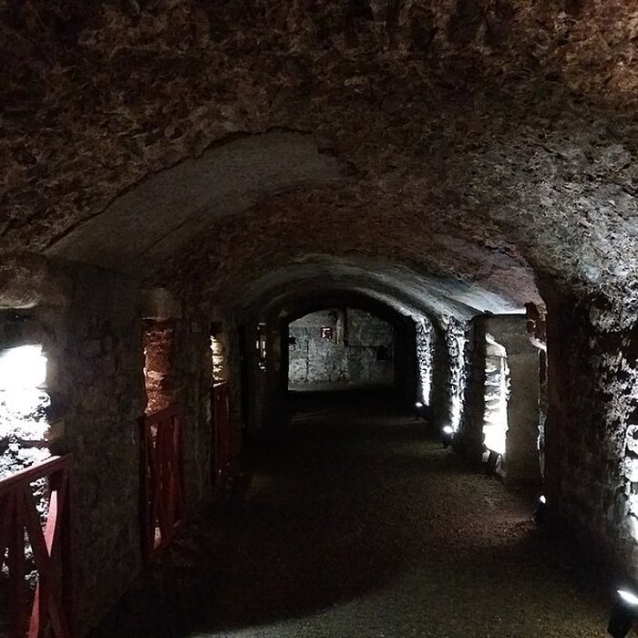 Photo de Musée de Horreum Romain à Narbonne