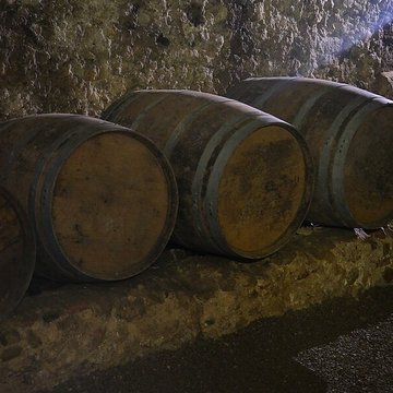 Musée de Horreum Romain à Narbonne