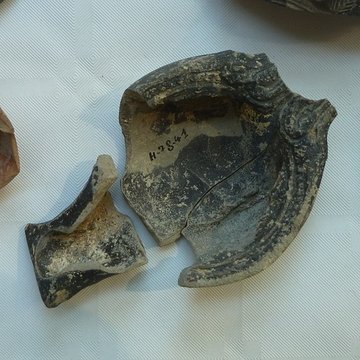 Musée de Horreum Romain à Narbonne