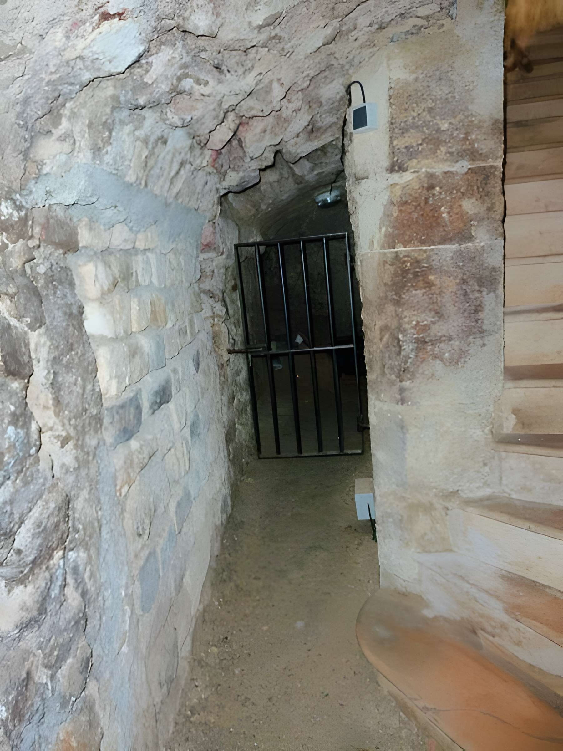 Musée de Horreum Romain à Narbonne