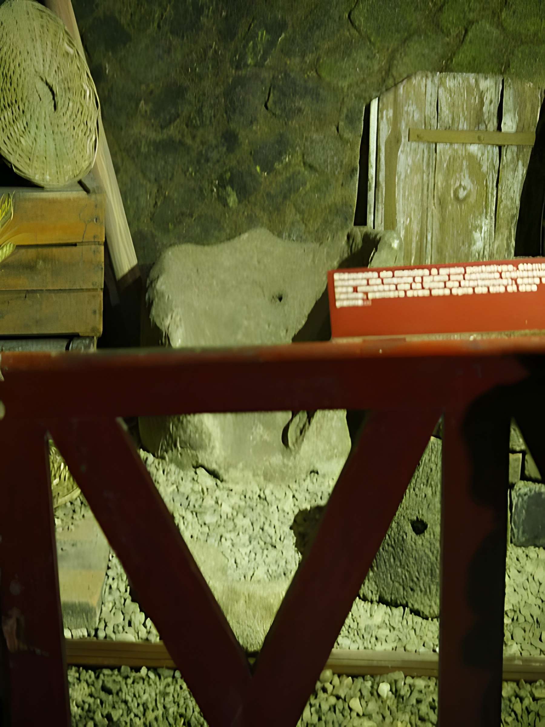 Musée de Horreum Romain à Narbonne