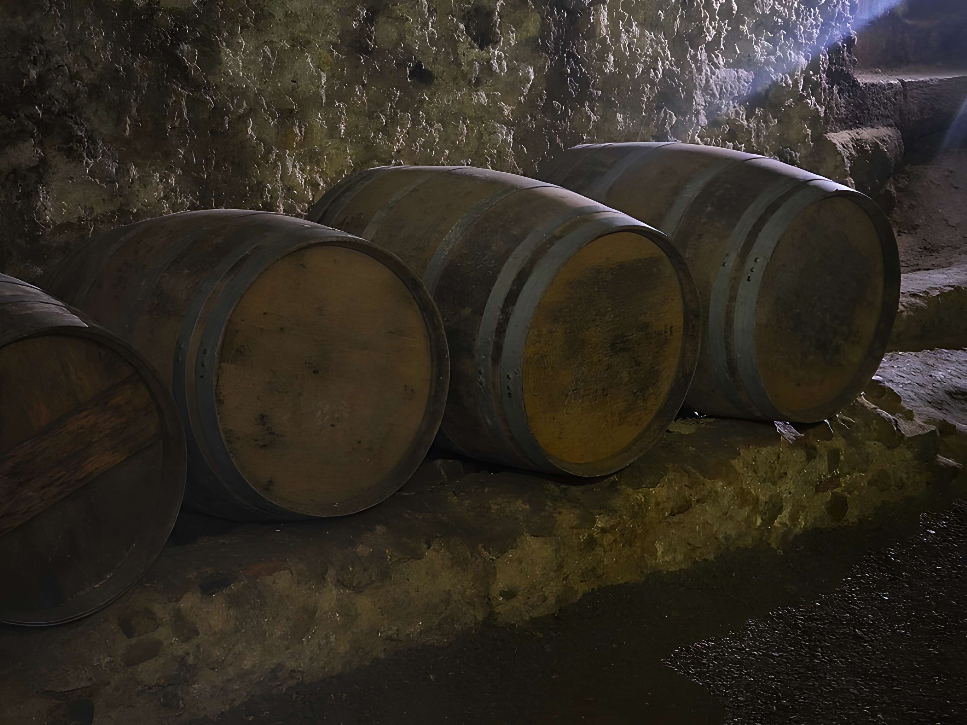 Musée de Horreum Romain à Narbonne