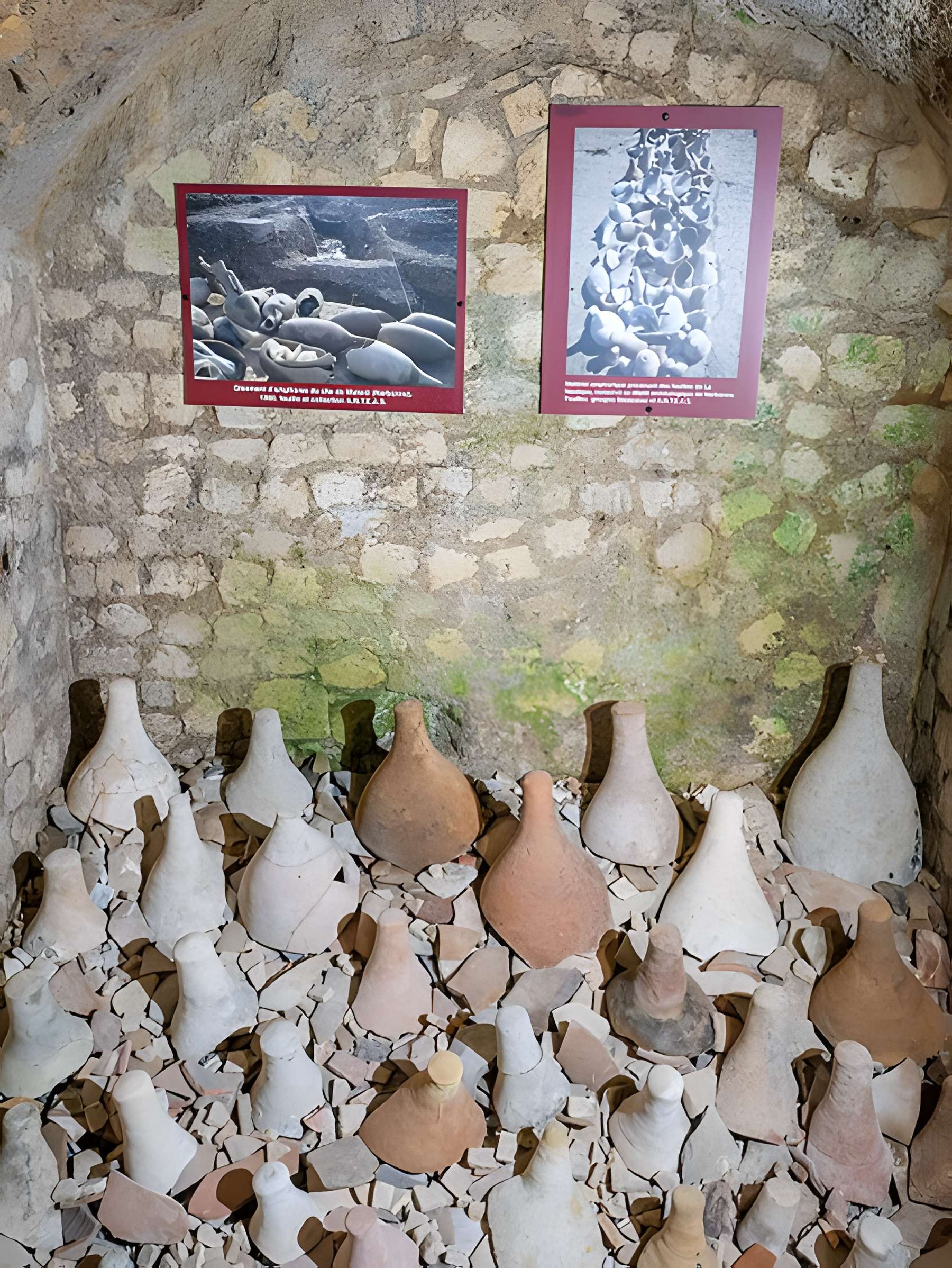 Musée de Horreum Romain à Narbonne