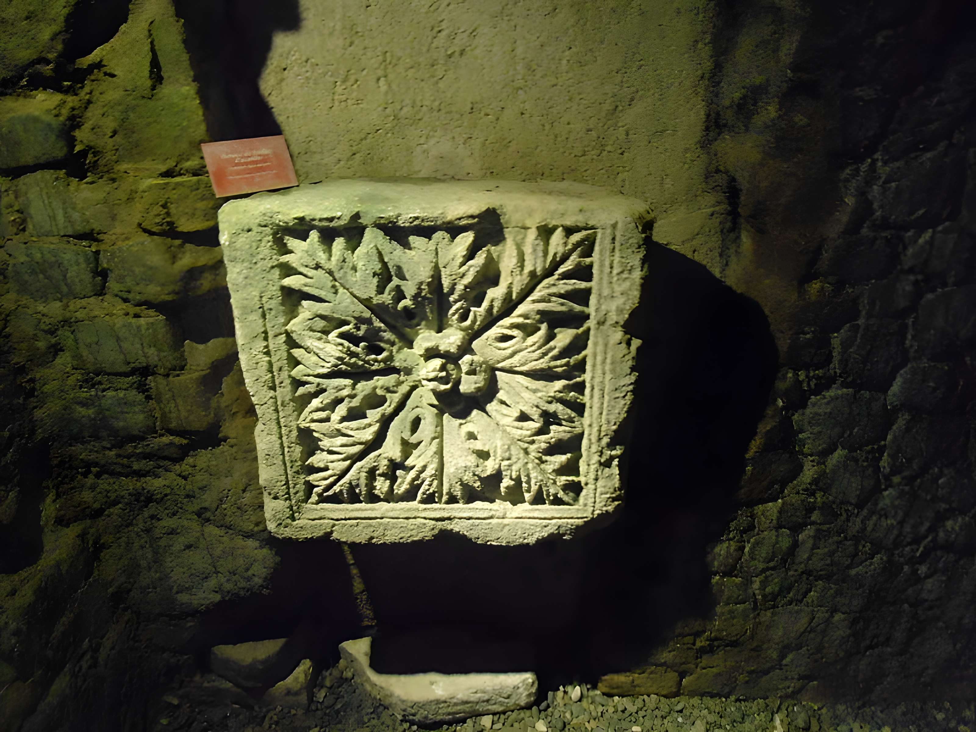 Musée de Horreum Romain à Narbonne