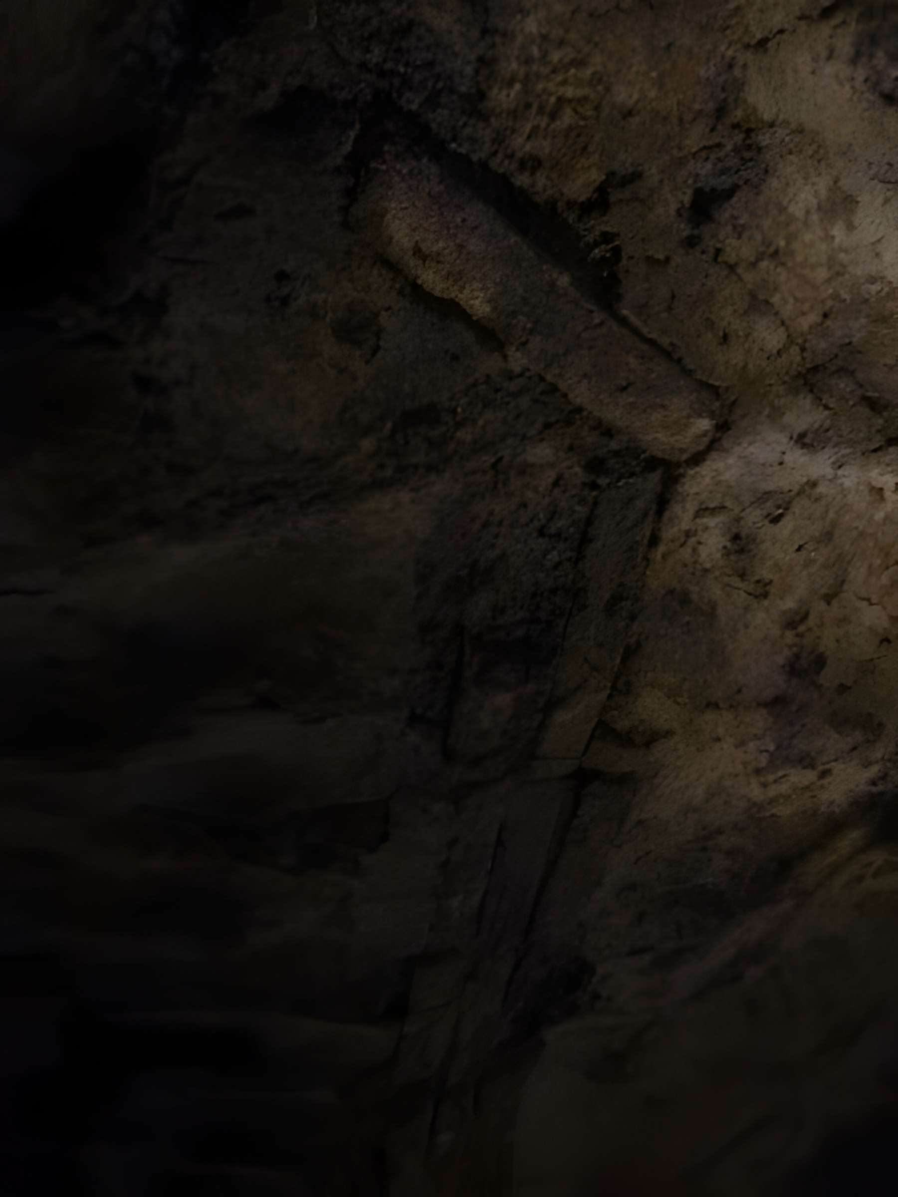 Musée de Horreum Romain à Narbonne