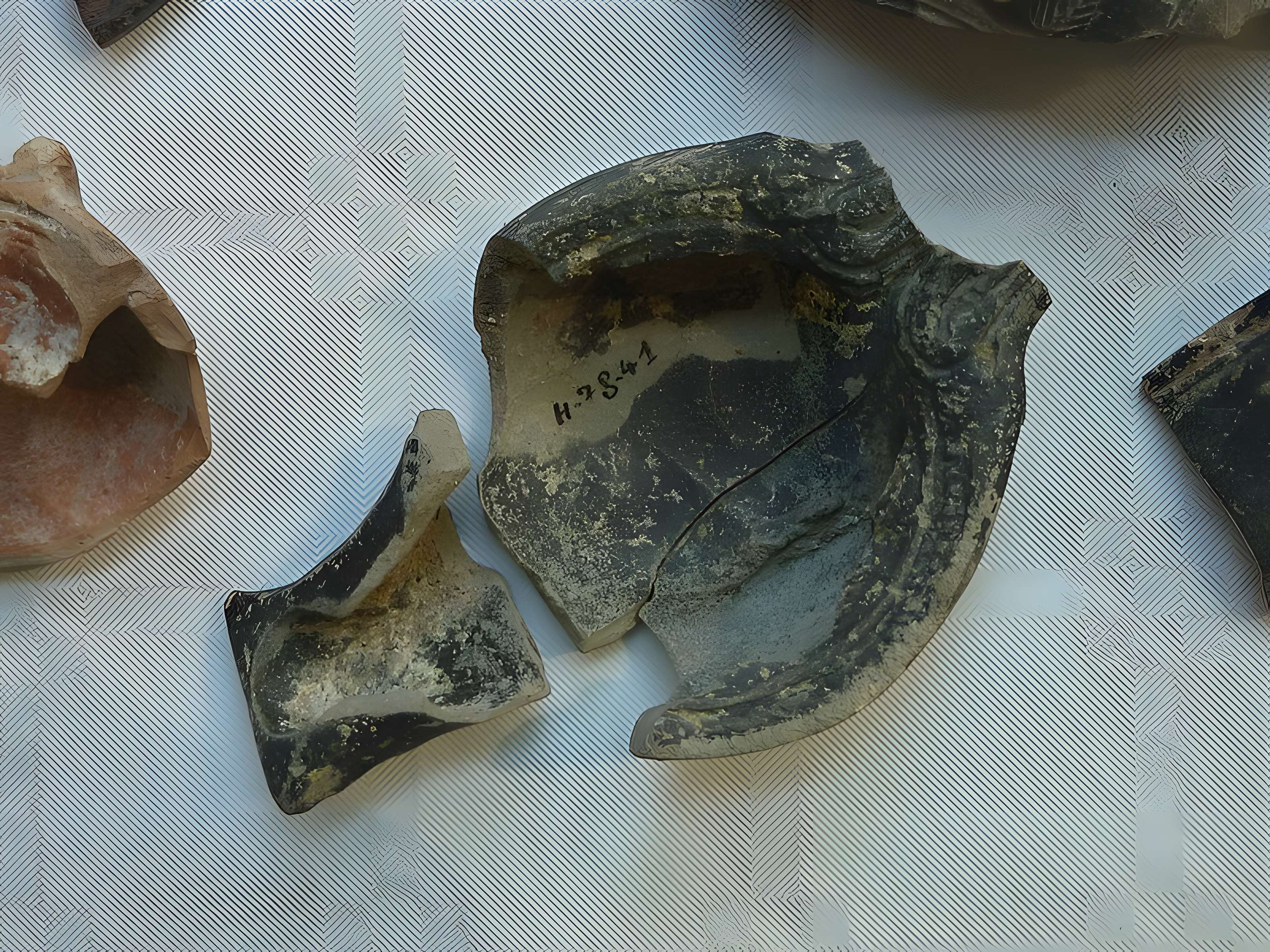 Musée de Horreum Romain à Narbonne