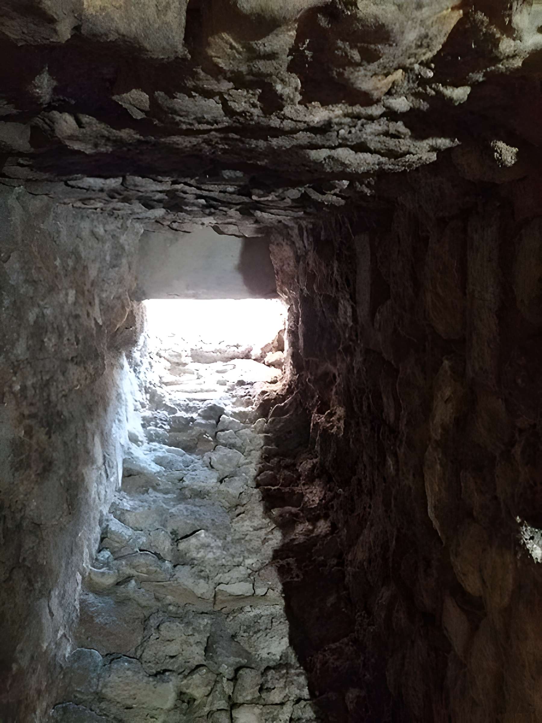 Musée de Horreum Romain à Narbonne